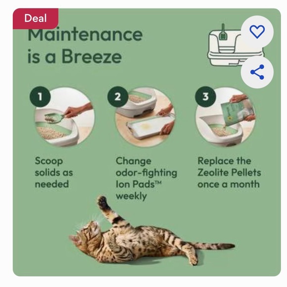 Tidy Cats - Breeze XL Cat Litter box (NEW) - Picture 5 of 5